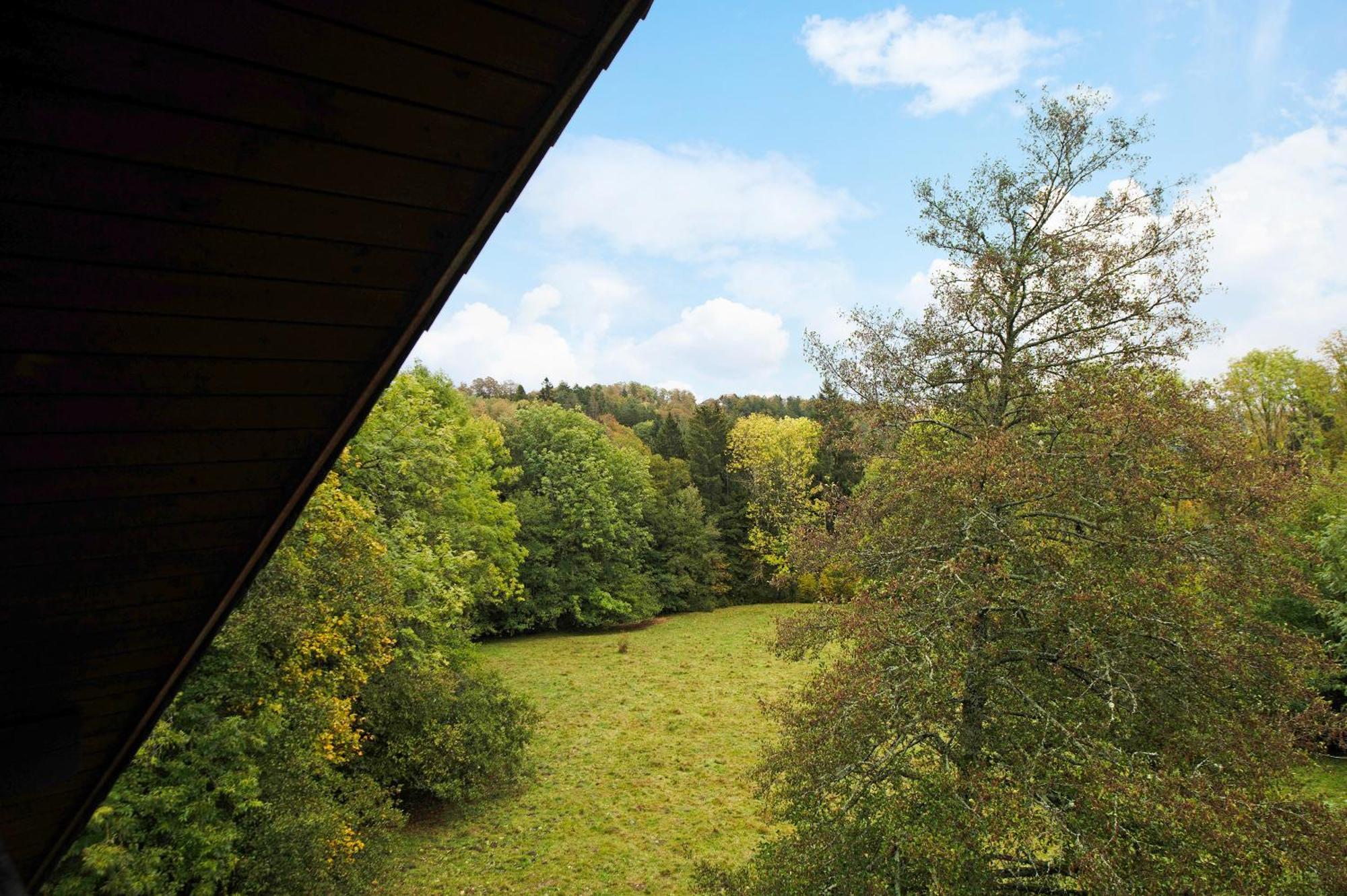 Landhaus Am Schmiedebach Wittenschwand Esterno foto